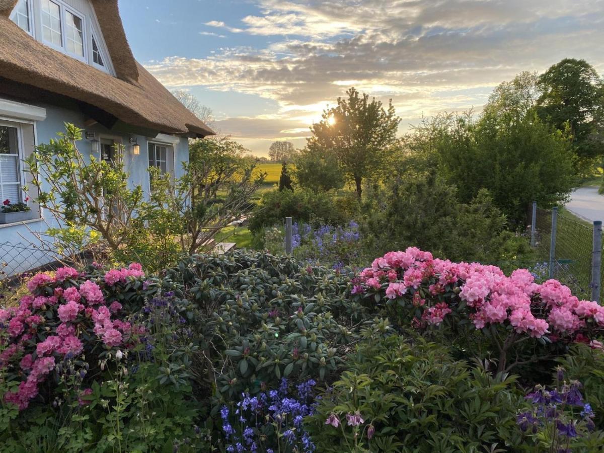 Reethaus Vilmnitz - Ferienwohnung Vilm Kültér fotó